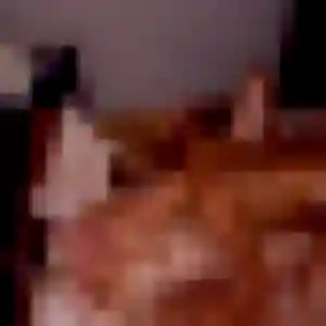 Violette, 25 ans, connectée à Petite-Forêt pour un rencontre sexy
