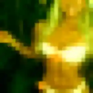 Lola, 44 ans, connectée à Pibrac pour une rencontre coquine
