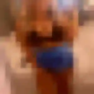 rencontre sexy à Plérin : profil de Anna, 19 ans - accès libre