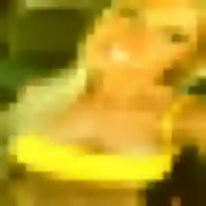 Regine, 42 ans, veut un rencontre sexy à Plouigneau