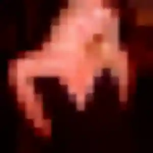Albane (37 ans) à Ruelle-sur-Touvre attend un rencontre sexy rapidement