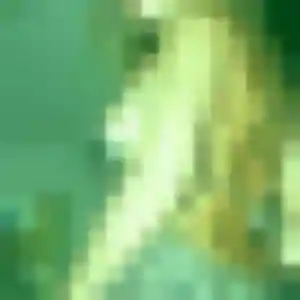 Photo privée de Alienor, 29 ans à Saint-Fargeau-Ponthierry - rencontre coquine