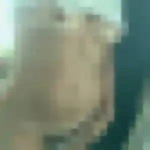 Belle Constance, 38 ans à Saint-Genis-Laval - la contacter