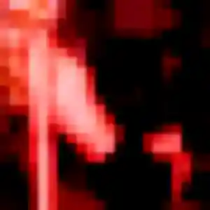 Malika, 32 ans, dispo pour rencontre sexy à Saint-Germain-lès-Corbeil