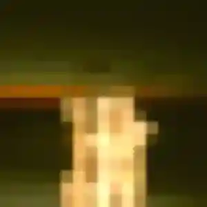 Photo de Lise à Saint-Mandé (44 ans) - rencontre sexy discret