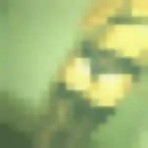 Photo de Yvette à Saint-Philippe (24 ans) - rencontre sexy gratuit
