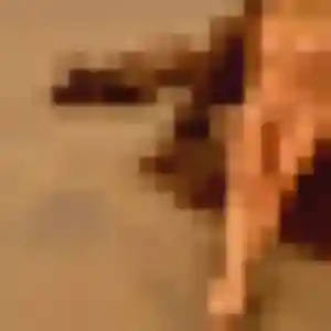 Karen, fille de 28 ans veut rencontre sexy à Saint-Sulpice-la-Pointe