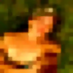 Heloise, fille de 41 ans veut rencontre sexy à Saint-Yrieix-sur-Charente