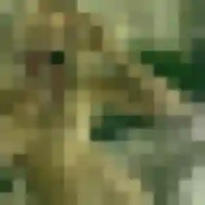 Sexy Gilberte, 33 ans à Sainte-Livrade-sur-Lot - voir sa photo