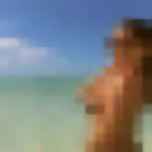 Photo perso de Jennifer, 27 ans à Sainte-Marie - rencontre coquine