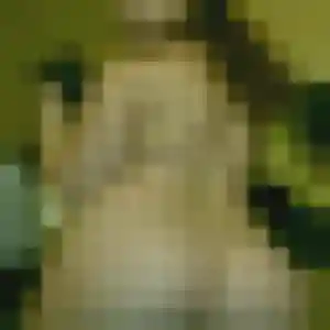 Rencontre Sandrine, 42 ans à Saran gratuitement