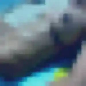 Bernadette, 40 ans, en ligne à Saulx-les-Chartreux pour une rencontre coquine