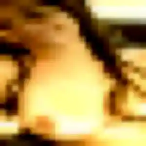 Sexy Clotilde, 26 ans à Seyssinet-Pariset - découvrir son profil
