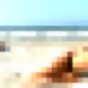 Photo de Lily à Ternay (23 ans) - rencontre sexy discret