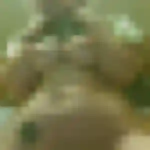 rencontre sexy à Thaon-les-Vosges : profil de Ninon, 43 ans - inscription gratuite