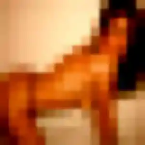 Photo exclusive de Jihane, 23 ans à Tresses - rencontre sans lendemain