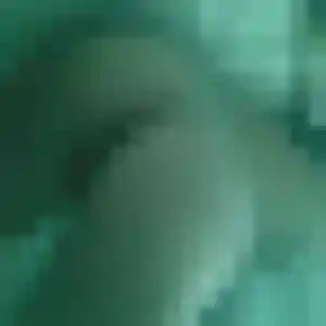 Jolie Pascale, 21 ans à Uckange - la contacter