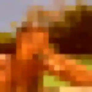 Photo exclusive de Charlotte, 30 ans à Vélizy-Villacoublay - rencontre coquine