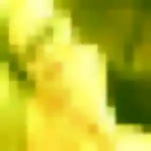 Blanche, femme de 39 ans propose rencontre sexy à Vezin-le-Coquet