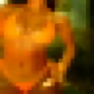 Agnes de Villejuif, 19 ans - rencontre sexy en toute liberté