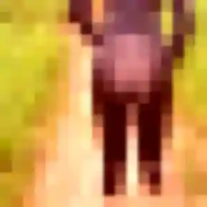 Photo exclusive de Clara, 43 ans à Villeneuve-lès-Avignon - rencontre sans lendemain