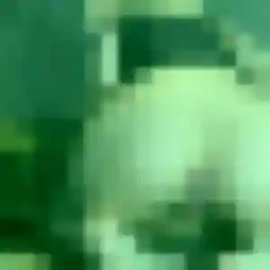 Zineb, 41 ans, dispo pour rencontre sexy à Villeneuve-lès-Avignon