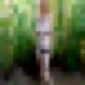 Profil de Edith à Villennes-sur-Seine (40 ans) - rencontre sexy gratuit