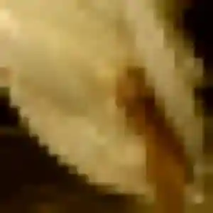 Anastasia, 27 ans, cherche un rencontre sexy à Villeparisis