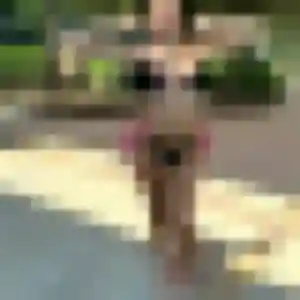 Cindy, 25 ans, veut un rencontre sexy à Voisins-le-Bretonneux