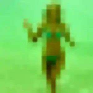 Anais, 23 ans, disponible à Wallers pour une rencontre coquine