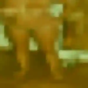 Photo perso de Mia, 29 ans à Wattrelos - rencontre coquine