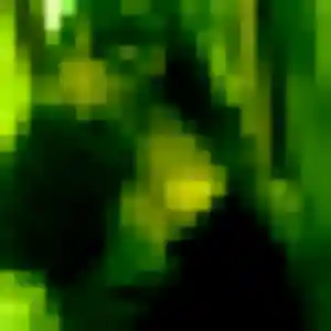 Doriane, 43 ans, en ligne à Yssingeaux pour un rencontre sexy