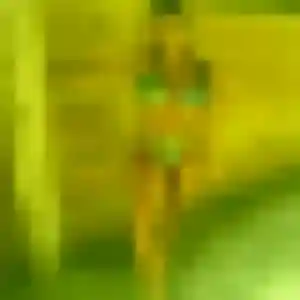 Photo privée de Hyacinthe, 34 ans à Yzeure - plan discret
